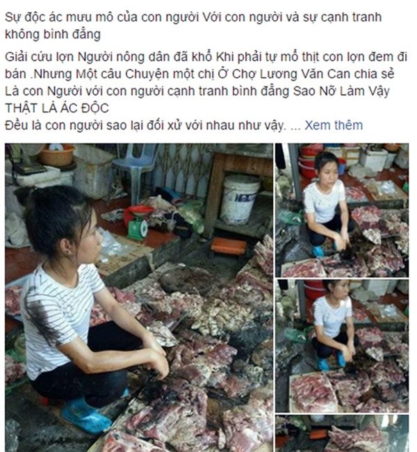 Vụ tạt dầu luyn vào thịt lợn ở Hải Phòng: Bước đầu xác định được người chủ mưu - Ảnh 1.