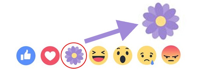 Thả hoa nhiều trên Facebook như thế, nhưng liệu bạn có biết ý nghĩa và thể loại hoa màu tím này không? - Ảnh 1.