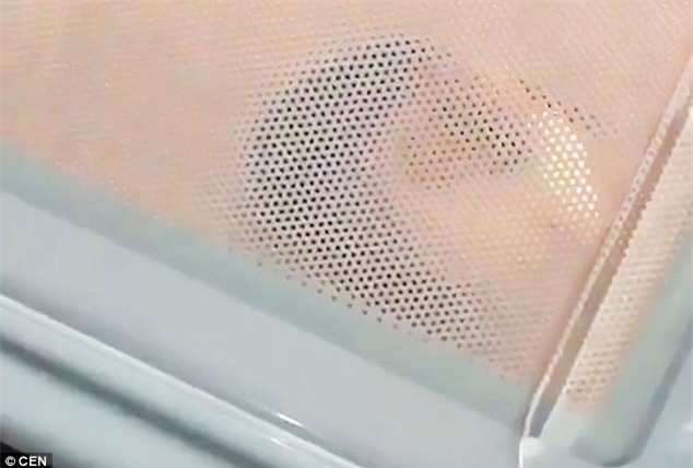 Vì hám danh sống ảo trên mạng, cô gái trẻ 16 tuổi cho thú cưng vào lò vi sóng nấu chín - Ảnh 2.