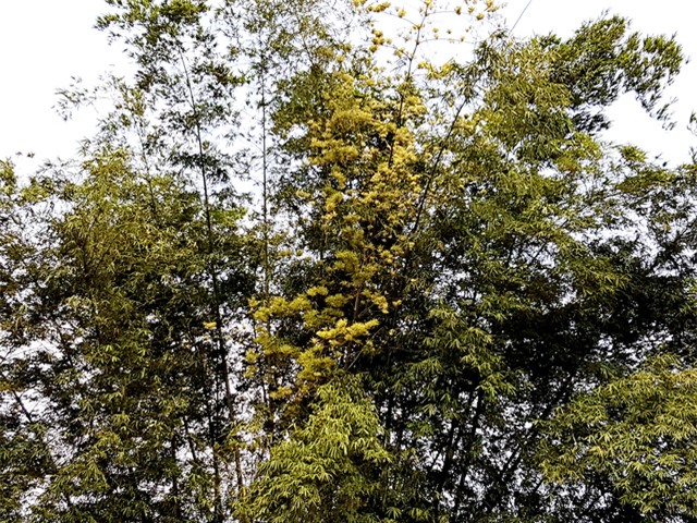 lan dau trong doi thay tre