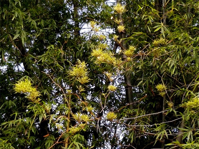 lan dau trong doi thay tre