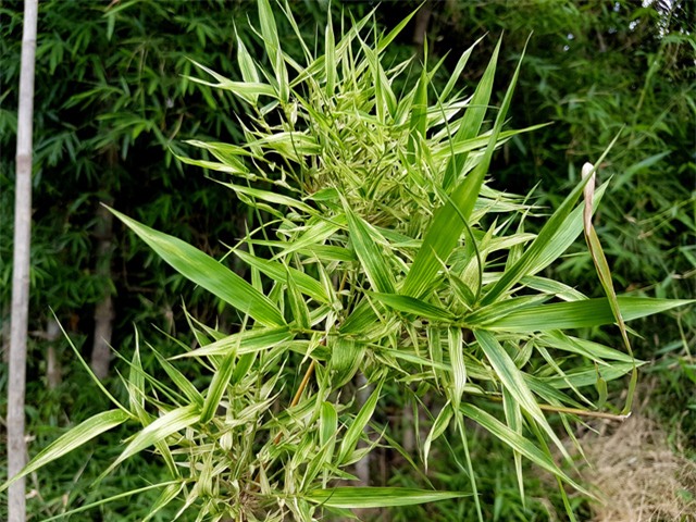 lan dau trong doi thay tre