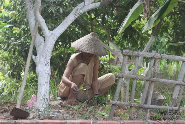 Chiêm ngưỡng nhà vườn 10.000m2 mà Giang còi” quyết không bán để mua chung cư nội đô-10