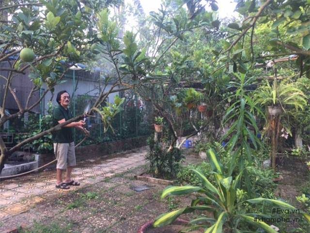 Chiêm ngưỡng nhà vườn 10.000m2 mà Giang còi” quyết không bán để mua chung cư nội đô-14