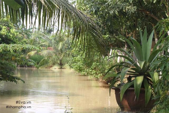 Chiêm ngưỡng nhà vườn 10.000m2 mà Giang còi” quyết không bán để mua chung cư nội đô-2