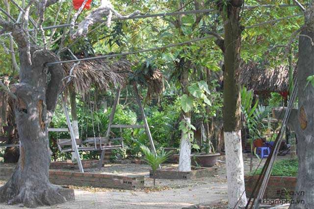 Chiêm ngưỡng nhà vườn 10.000m2 mà Giang còi” quyết không bán để mua chung cư nội đô-6