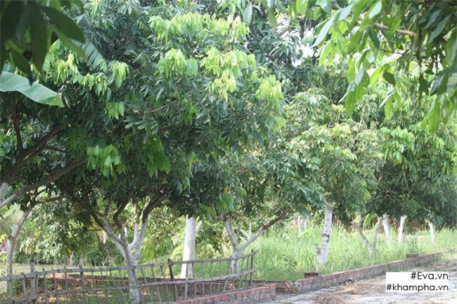 Chiêm ngưỡng nhà vườn 10.000m2 mà Giang còi” quyết không bán để mua chung cư nội đô-7