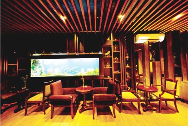 nguoi dan ong nao se chinh phuc noi "nu dai gia" my tam? hinh anh 5