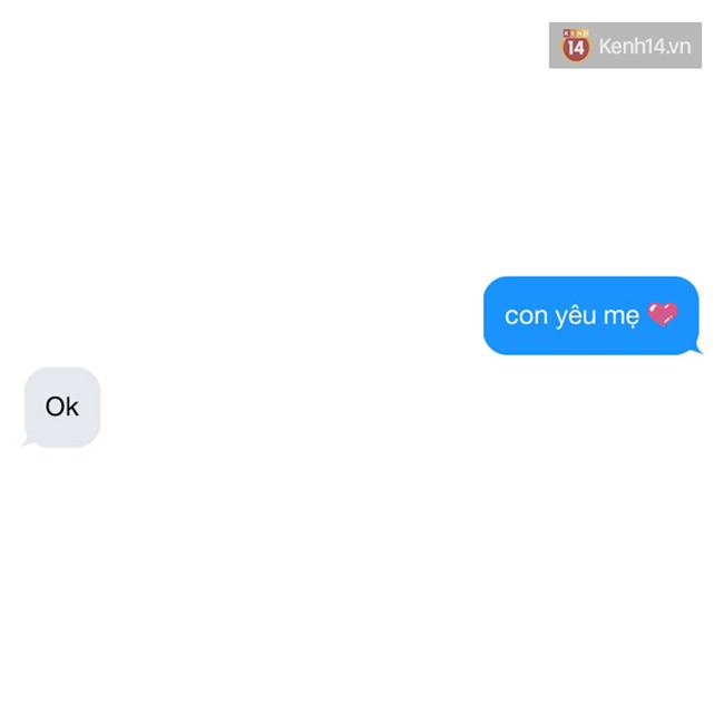 Ngày của mẹ - Nhắn tin Con yêu mẹ mà vẫn bị trolls như thế này đây! - Ảnh 9.