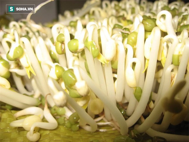 5 thực phẩm cao thủ làm nhuận tràng, chống táo bón, khó tiêu: Hãy ăn ngay từ đầu mùa hè - Ảnh 1.