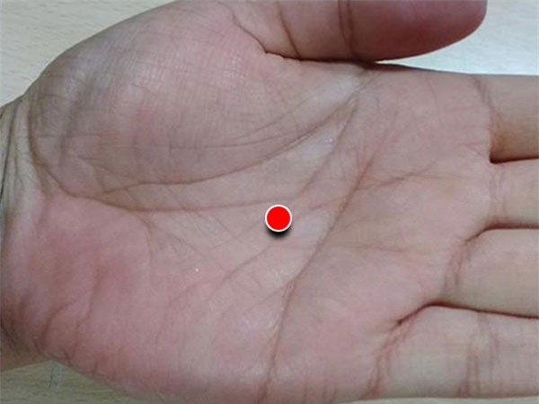 Giáo sư Lý Tế Nhân: Muốn dưỡng ngũ tạng khỏe, cần khắc cốt ghi tâm những điều này - Ảnh 2.