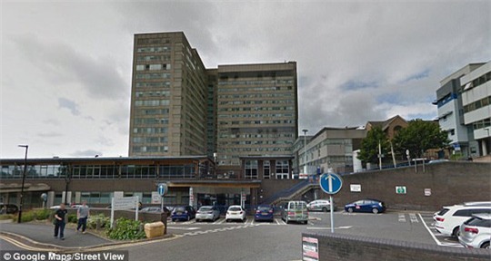 Mổ ruột thừa, bác sĩ cắt nhầm... buồng trứng - Ảnh 1.