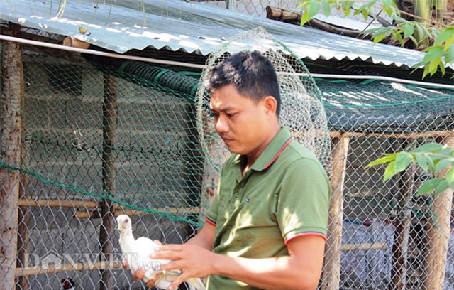 dac sac dan ga long trang “ti hon” co gia gan nua ty dong hinh anh 1