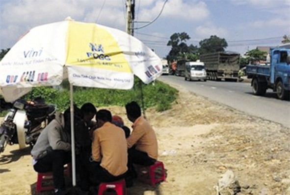 đất nền, đất nền TP.HCM, sốt đất nền, cơn sốt đất nền, đất nền sốt ảo,