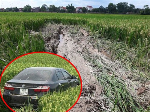 tai xe xe camry gay tai nan kinh hoang khien 3 hoc sinh thiet mang khai gi? - 1