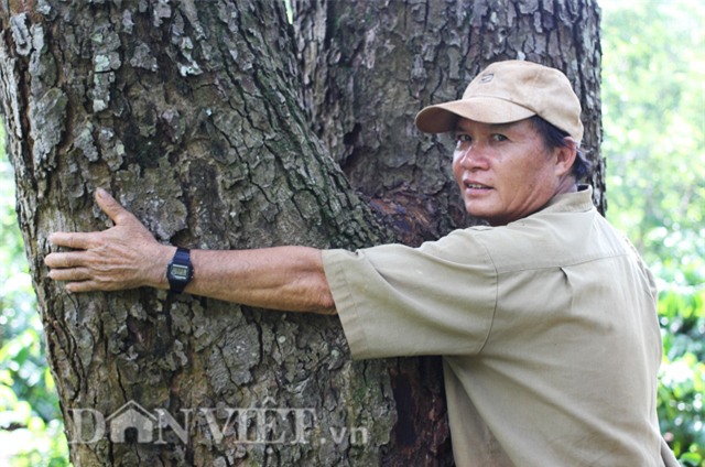 cây tiền tỷ, cây quý, nông sản