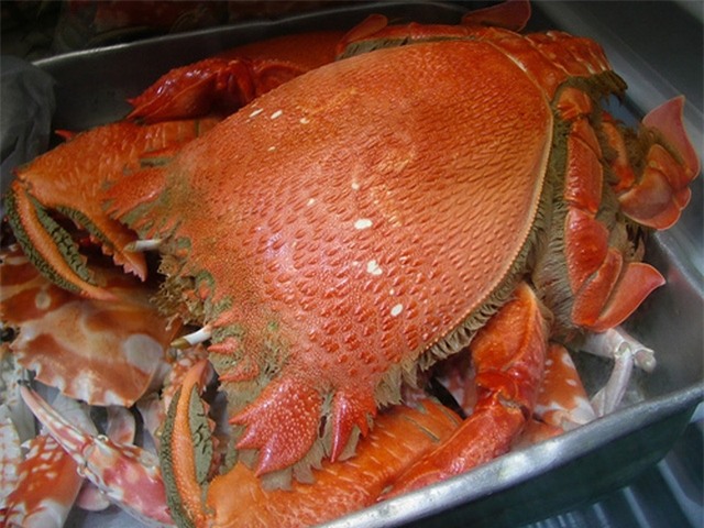 Là sản vật được vua chúa thời xưa chọn nên thịt loại cua này rất thơm ngon, được người tiêu dùng ưa chuộng.