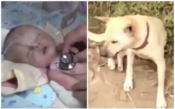 Thấy thú cưng điên cuồng đào bới đất, chủ nhân chạy ra và phát hiện bé trai 1 tháng tuổi bị chôn sống - Ảnh 2.