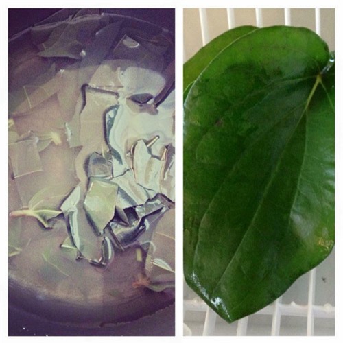 da mat trang hong, min mang sau sinh nho 1 thang o cu nhu “hanh xac" cua me 9x - 7