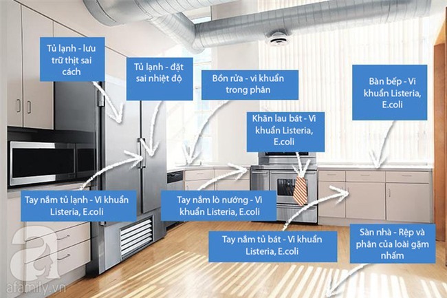 Những vị trí tưởng sạch nhưng chứa đầy vi khuẩn trong bếp nhà bạn - Ảnh 1.