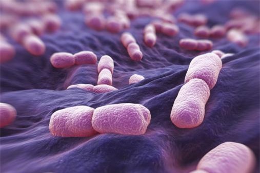 Những vị trí tưởng sạch nhưng chứa đầy vi khuẩn trong bếp nhà bạn - Ảnh 4.