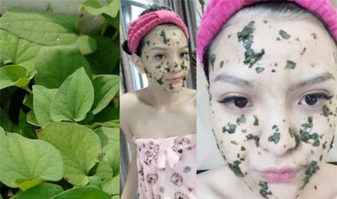 Có rất nhiều cách làm đẹp hiệu quả từ rau diếp cá. Ảnh minh họa