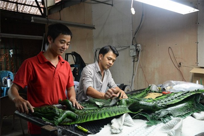 cá sấu, thương lái, nông dân