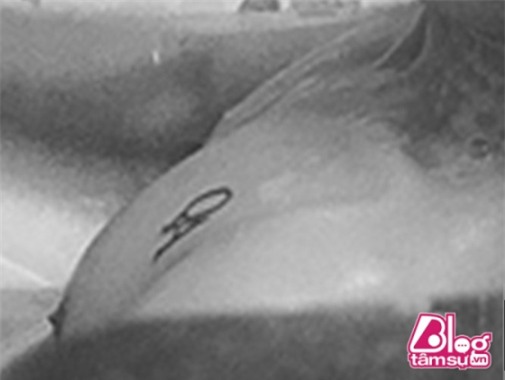 hinh-xam-tim-blogtamsuvn007