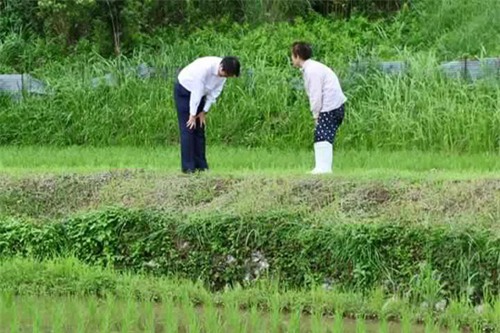 Nhân viên đoàn hộ tống Thủ tướng Nhật Bản cúi đầu chào và cảm ơn người đi xe đạp vì đã nhường đường - Ảnh 3.