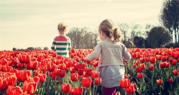 Mẹ Anh và mẹ Mỹ tiết lộ lý do trẻ em Hà Lan luôn hạnh phúc nhất thế giới - Ảnh 3.