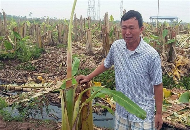 phá hoại tài sản, giang hồ đất Cảng, Hải Phòng