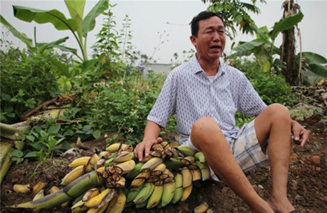 phá hoại tài sản, giang hồ đất Cảng, Hải Phòng