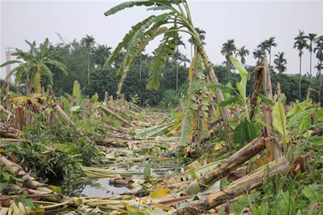 phá hoại tài sản, giang hồ đất Cảng, Hải Phòng