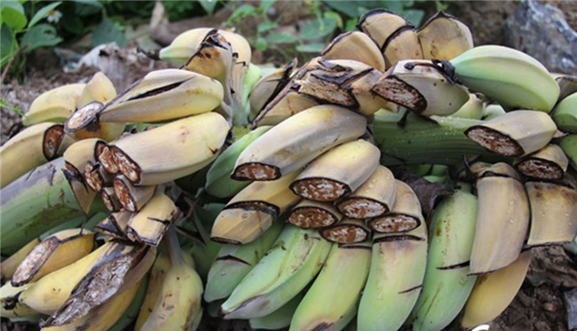 phá hoại tài sản, giang hồ đất Cảng, Hải Phòng