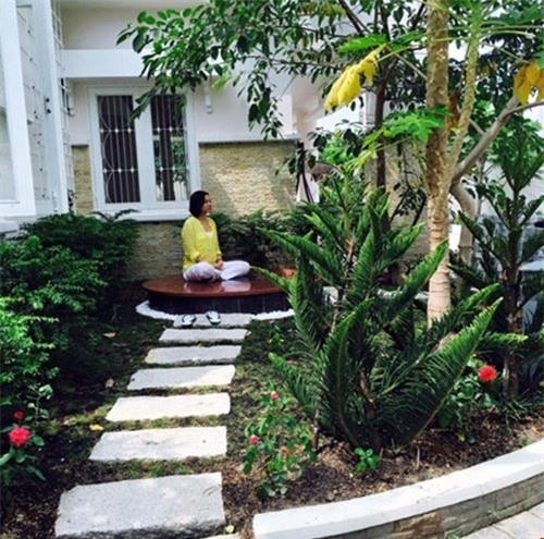 Việt Trinh, Diễn viên Việt Trinh, sao việt