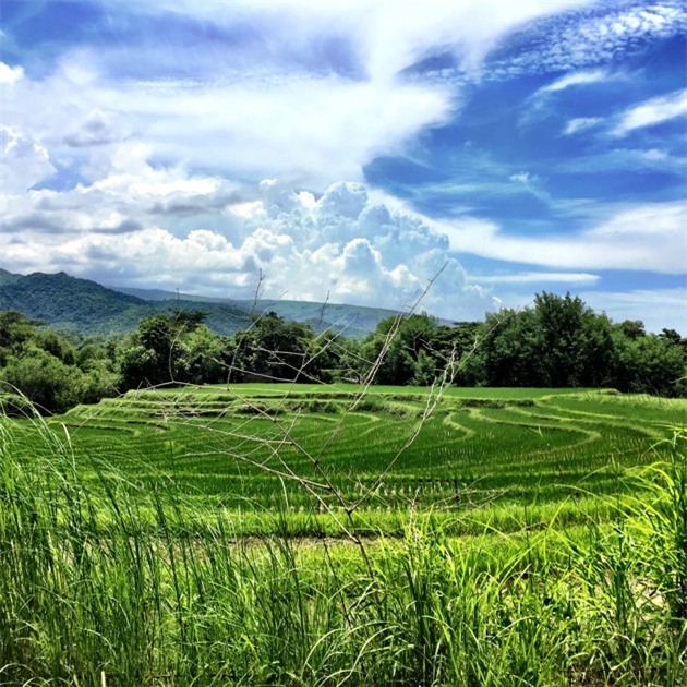 Người phụ nữ nô lệ suốt 56 năm làm việc không công (P1): Bị ngược đãi, bố mẹ chết cũng không được để tang - Ảnh 13.