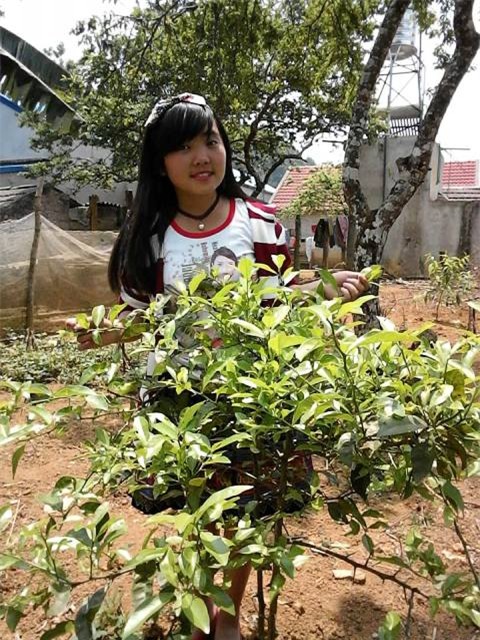 thong tin moi nhat vu nu sinh lop 9 mat tich bi an sau khi nghe dien thoai tu nguoi la - 3