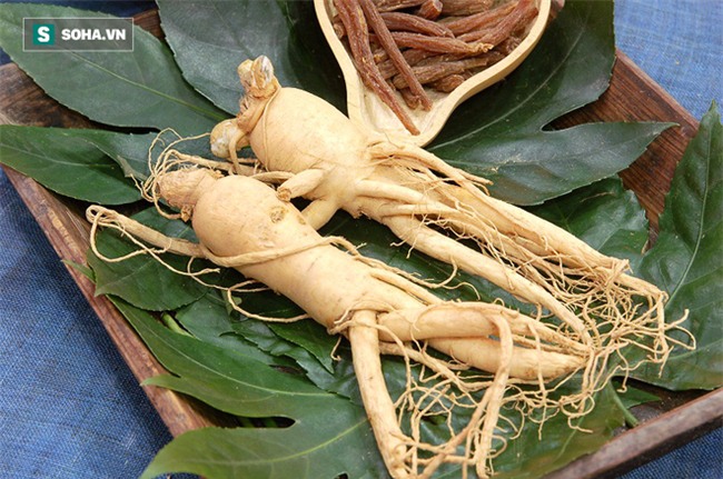 5 món ăn bổ dương, tăng cường sinh lực: Quý ông hãy đưa ngay vào thực đơn - Ảnh 1.