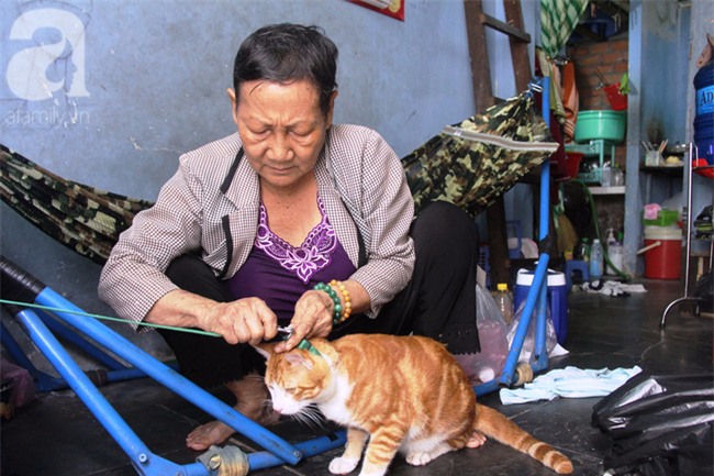 Cảm thương cảnh bà lão bệnh tật, lượm ve chai nuôi cháu mồ côi - Ảnh 7.