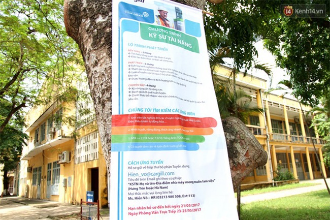 Sinh viên năm 4 đi làm ngày đầu đã xin nghỉ 2-3 tháng, còn quay sang trách sếp "thái độ" - Ảnh 4.