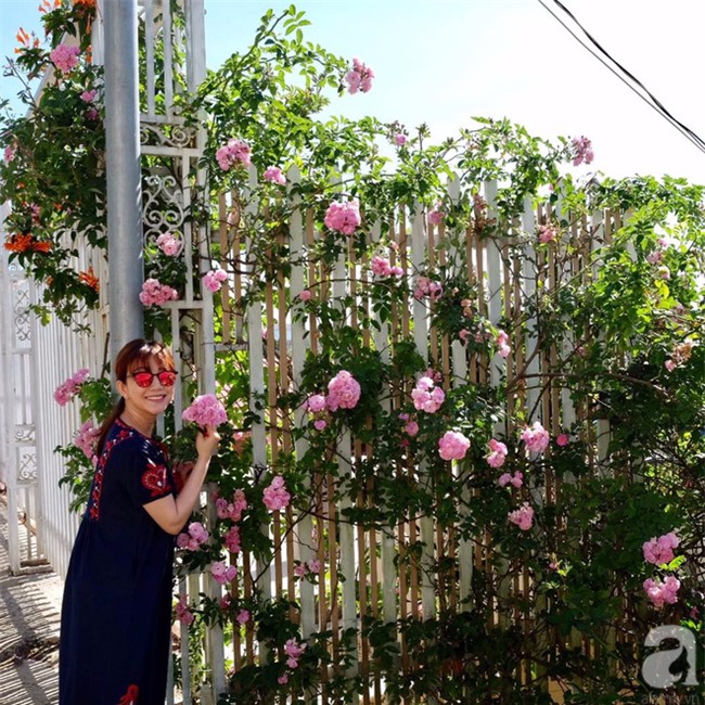 Khu vườn trên sân thượng rộng tới 200m² bạt ngàn rau quả sạch của nữ doanh nhân Sài Thành - Ảnh 3.