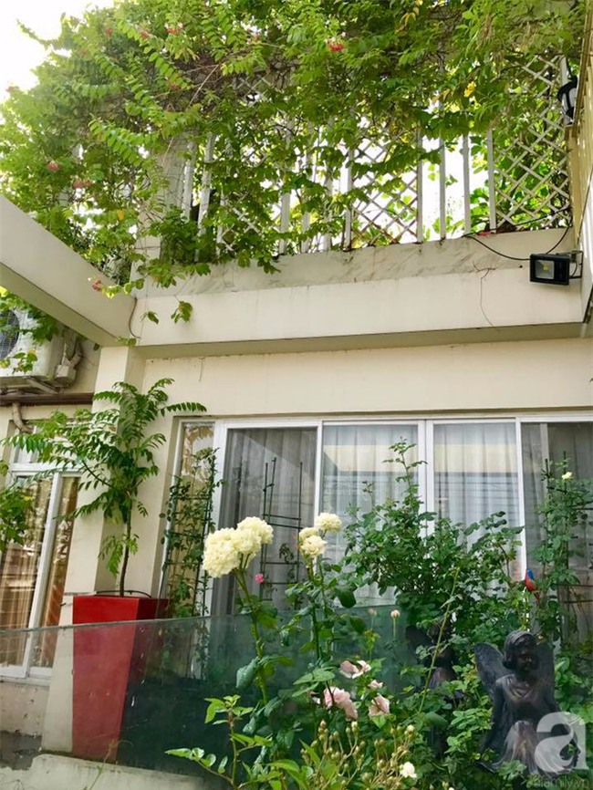 Khu vườn trên sân thượng rộng tới 200m² bạt ngàn rau quả sạch của nữ doanh nhân Sài Thành - Ảnh 5.