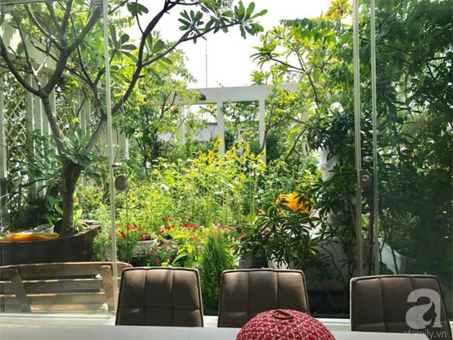 Khu vườn trên sân thượng rộng tới 200m² bạt ngàn rau quả sạch của nữ doanh nhân Sài Thành - Ảnh 7.
