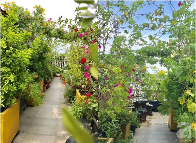 Khu vườn trên sân thượng rộng tới 200m² bạt ngàn rau quả sạch của nữ doanh nhân Sài Thành - Ảnh 8.