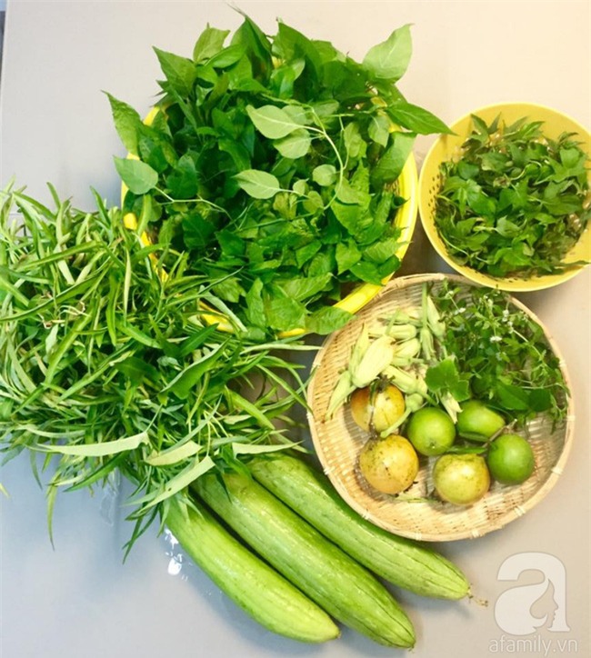 Khu vườn trên sân thượng rộng tới 200m² bạt ngàn rau quả sạch của nữ doanh nhân Sài Thành - Ảnh 28.