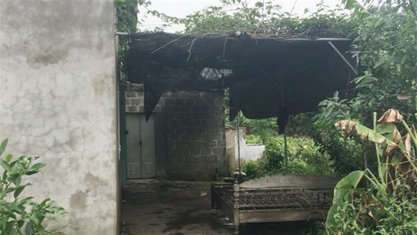 hien truong vu giet nguoi roi rach bung, cat "cua quy" o hung yen - 8