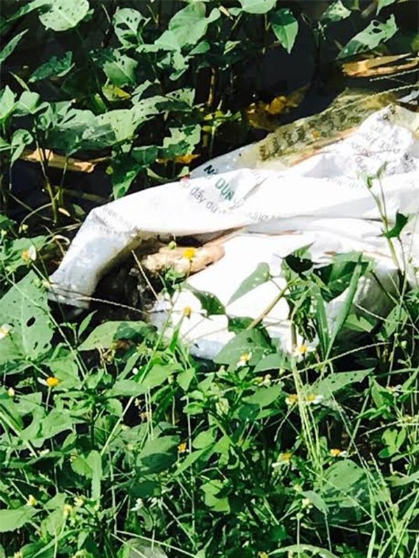 giết người, Hưng Yên, giết người ở Hưng Yên