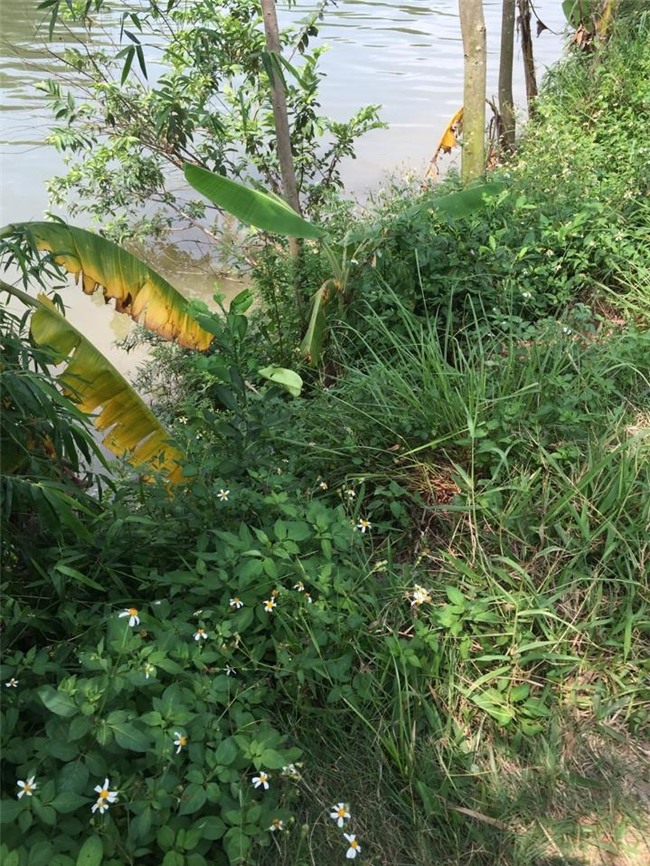 giết người, Hưng Yên, giết người ở Hưng Yên