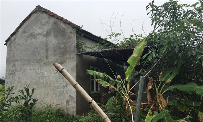 giết người, Hưng Yên, giết người ở Hưng Yên