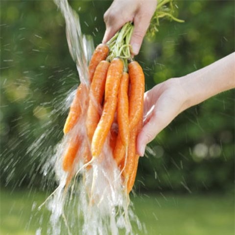 an toàn thực phẩm